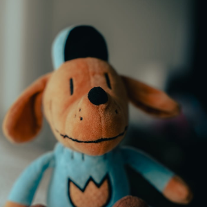 Organic Puppy Kibble